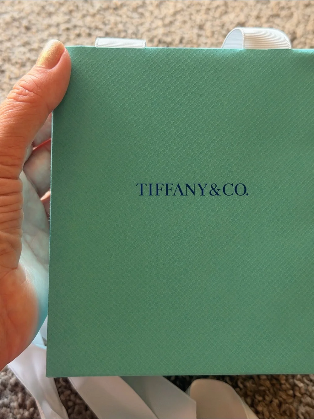 Authentic Tiffany & Co. Robin's-Egg Blue Gift Bag with White Ribbon Handles